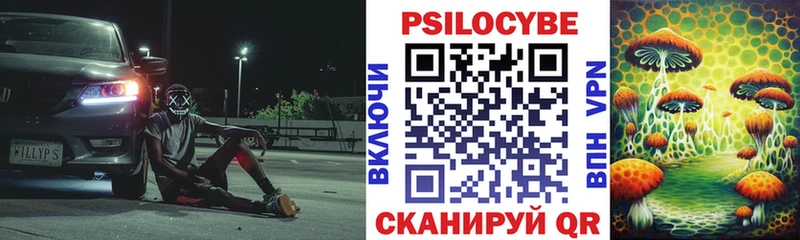 Псилоцибиновые грибы Psilocybine cubensis  Иннополис 