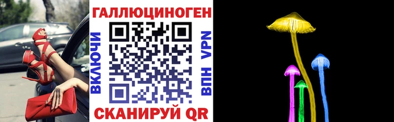 Псилоцибиновые грибы Psilocybine cubensis Иннополис